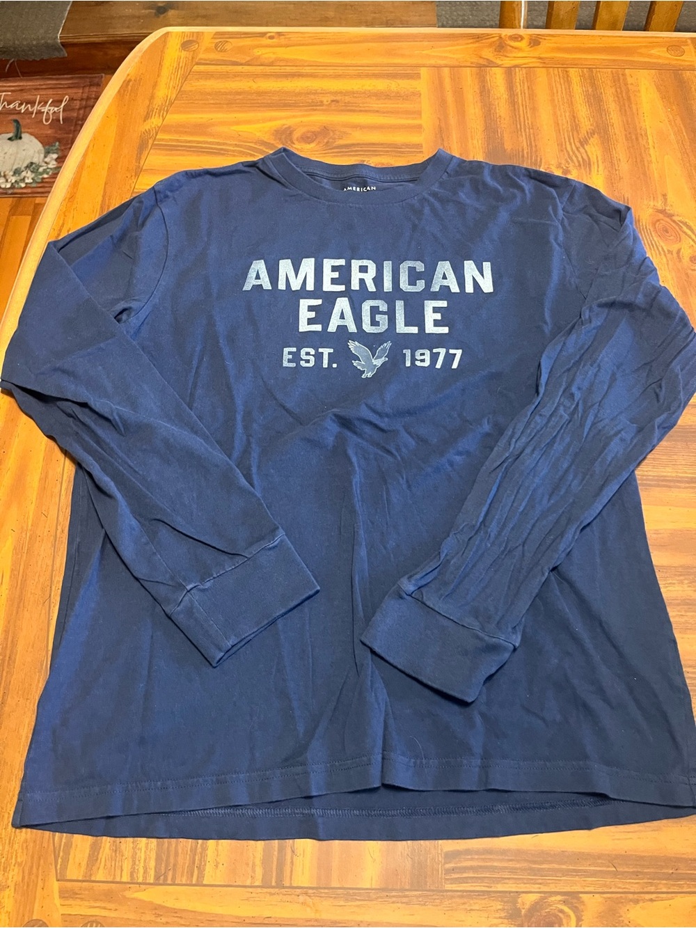 American Eagle Outfitters Long Sleeve Graphic Tee - Navy Blue